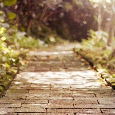 亡命越野赛无敌版